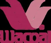 Wacoal Holdings Corp. é a referência da Ásia em lingerie ergonómica e fabrico de precisão