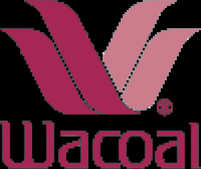 Wacoal Holdings Corp.