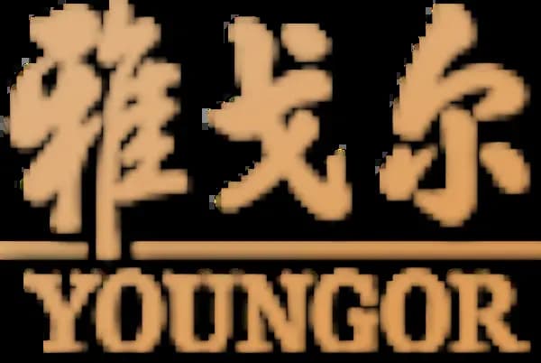 Youngor Group Co., Ltd.