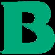 B. Braun SE