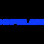 Copeland LP (EMRLD Borrower LP)