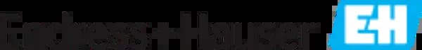 Grupo Endress+Hauser