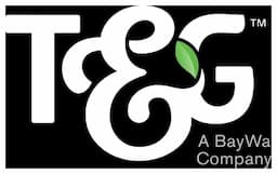 T&G Global Limited