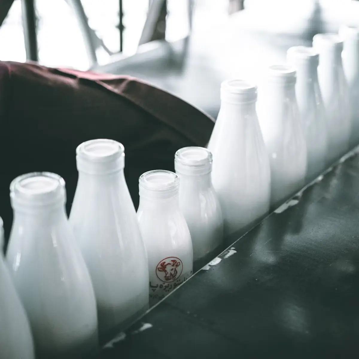 Produtos Lácteos e Ovos
