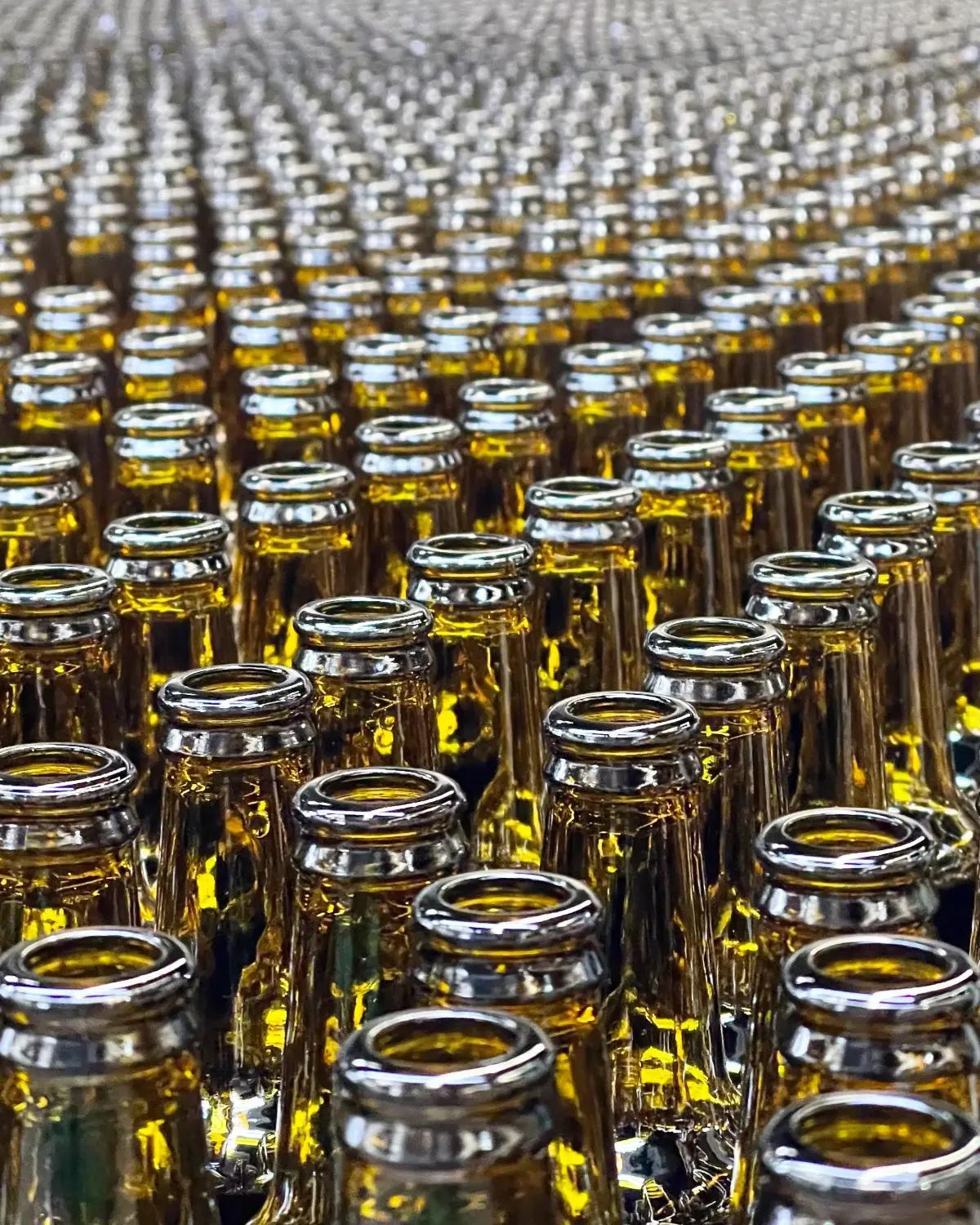 Produtos de Óleos e Gorduras Comestíveis