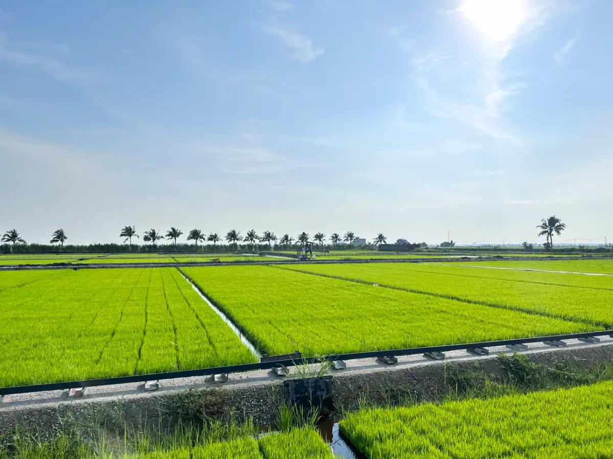 Ranking de Fornecedores do Setor de Produtos Agrícolas
