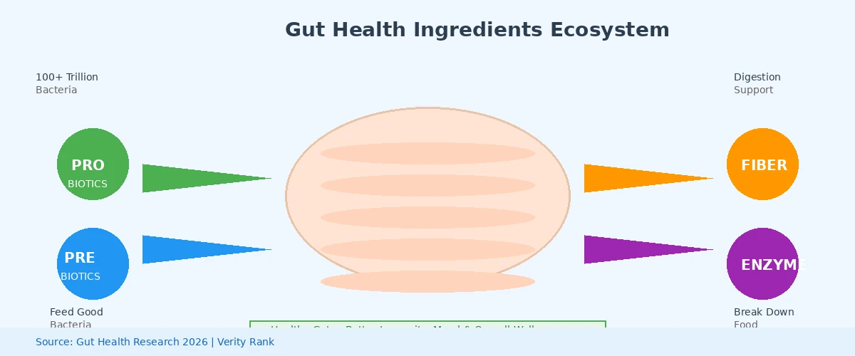 Diagrama mostrando ingredientes de saúde intestinal e seus benefícios