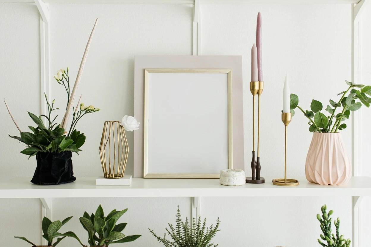 Plantas de Interior e Vasos em 2026: Mercado Dispara para US$ 6,1 Bilhões com Tendência 'Menos, Maiores' Redefinindo a Decoração de Casa